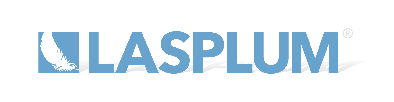 Lastras Logo lasplum